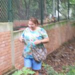 PREOCUPACIÓN POR COMO CAUSE DE QUEBRADA ZAPAMANGA ESTA A PUNTO DE SOCAVAR LOS CIMIENTOS DEL POLIDEPORTIVO VILLABEL